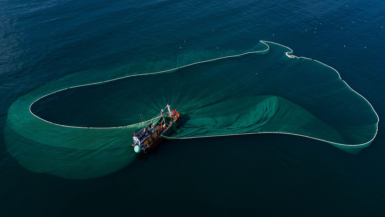 Fishing Industry Bitung